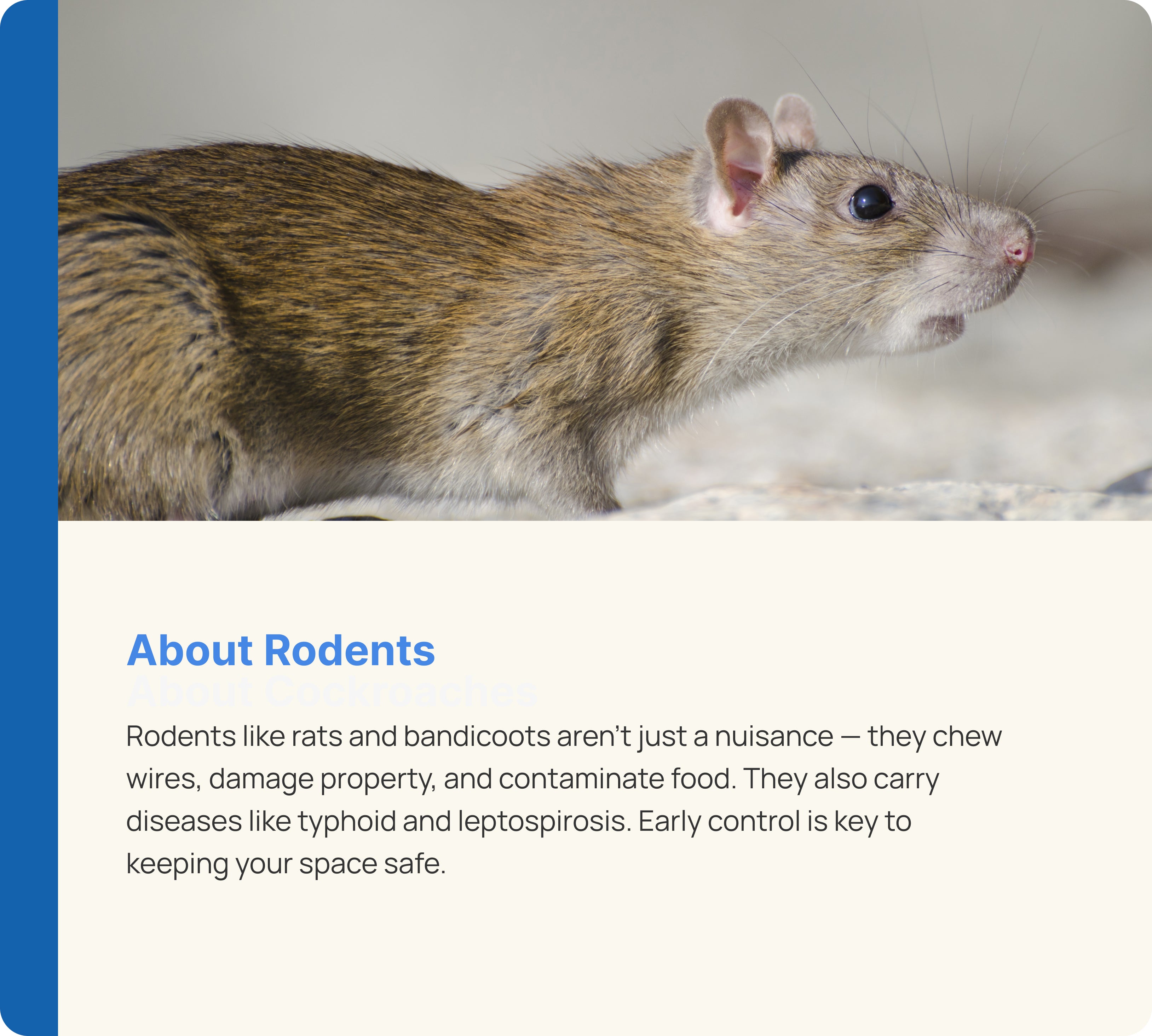 Rodent Control
