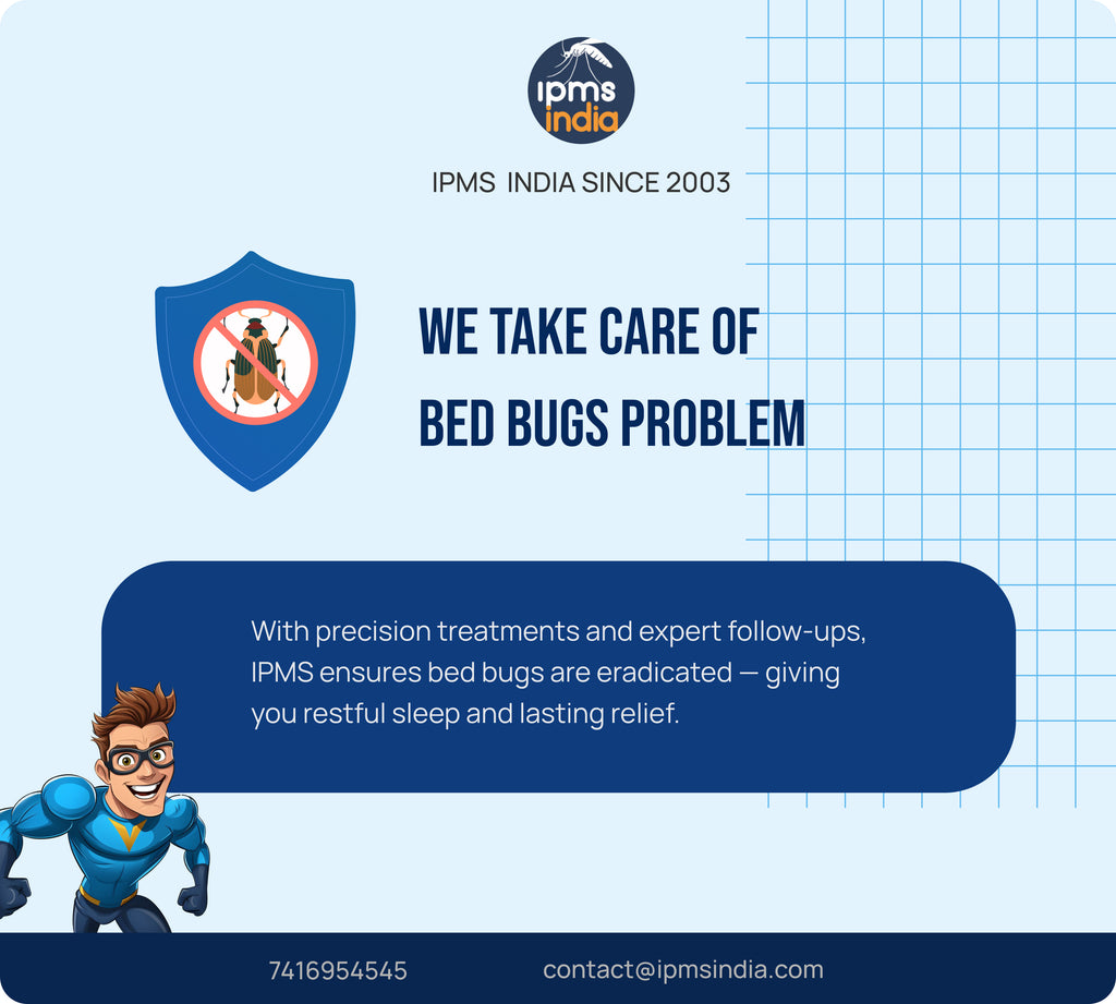Bed Bug Control
