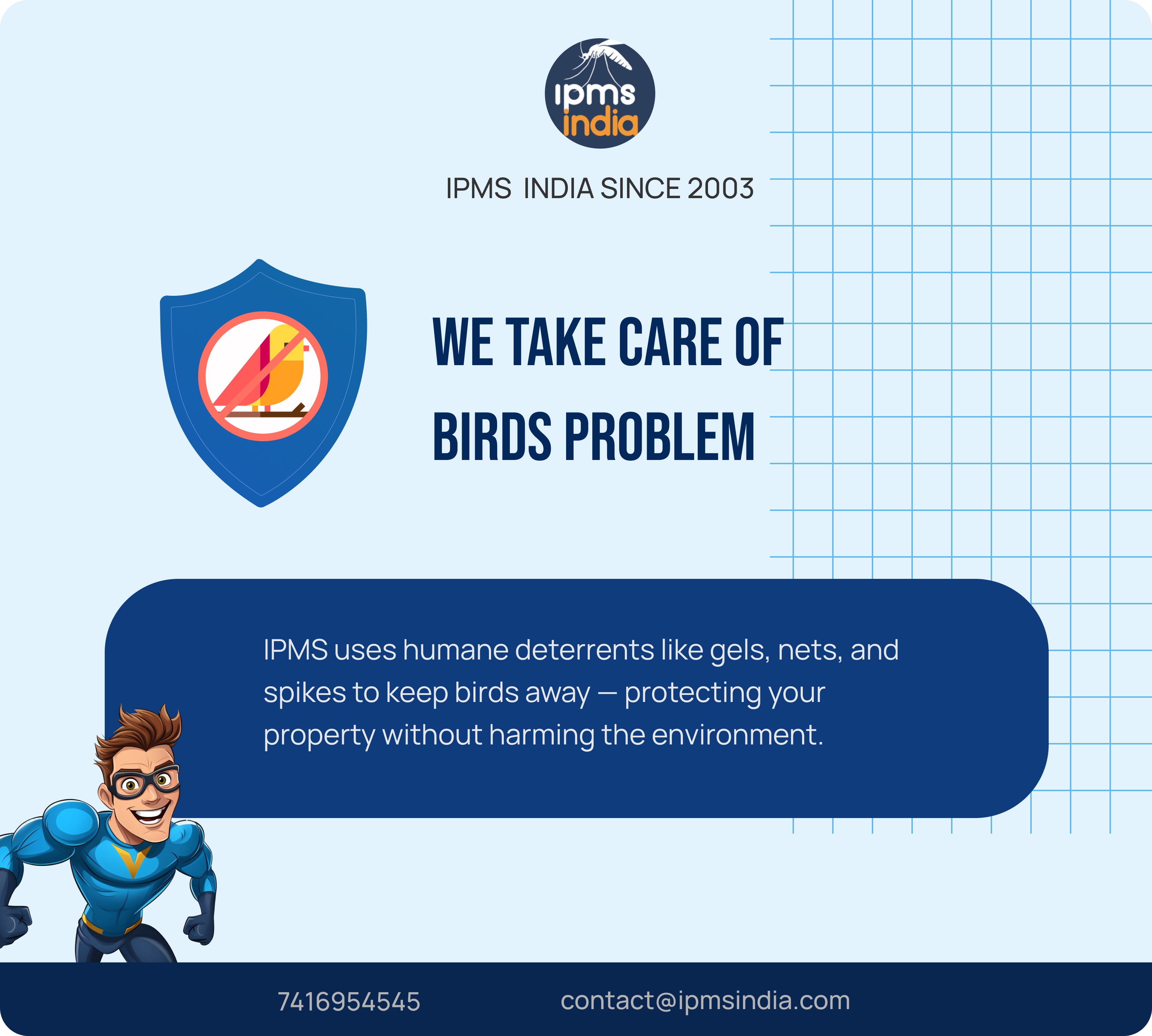 Bird Control