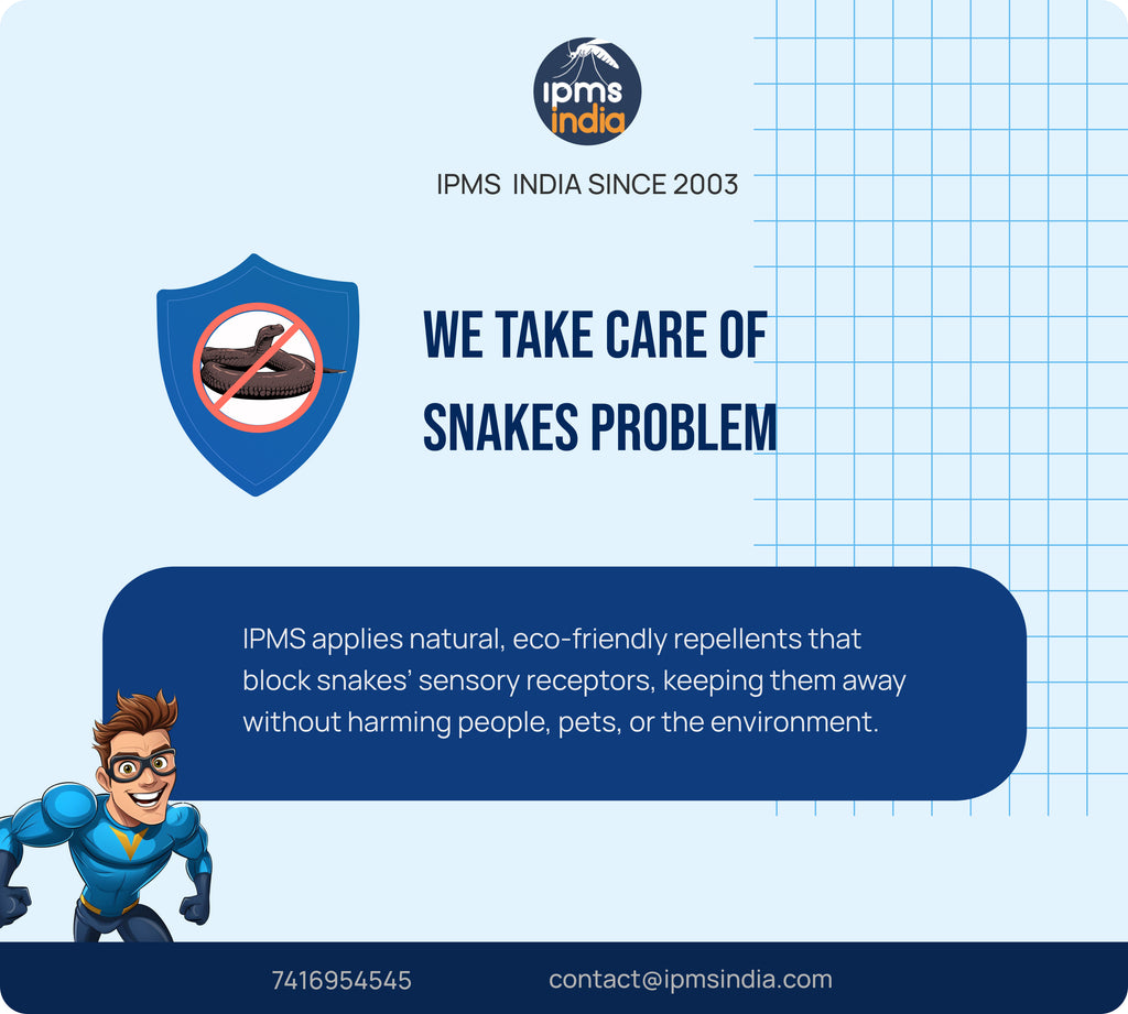 Snake Control Method Photo Snake Control – IPMS india