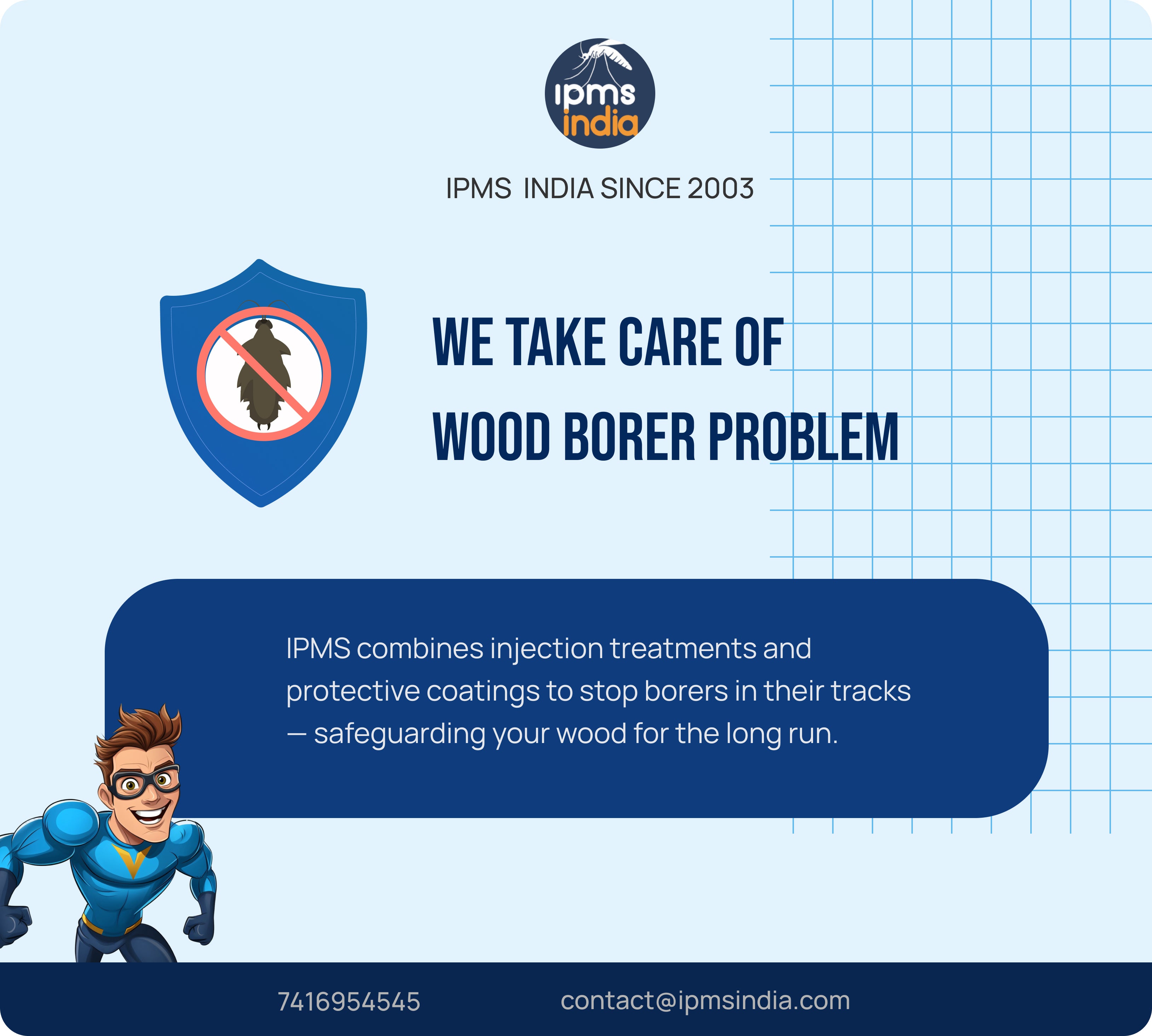 Wood Borer Control