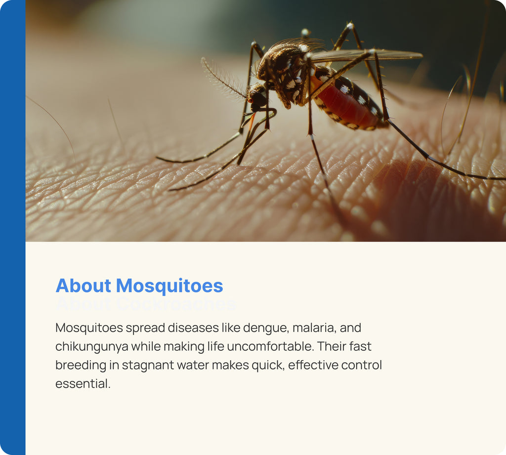 Mosquito Control