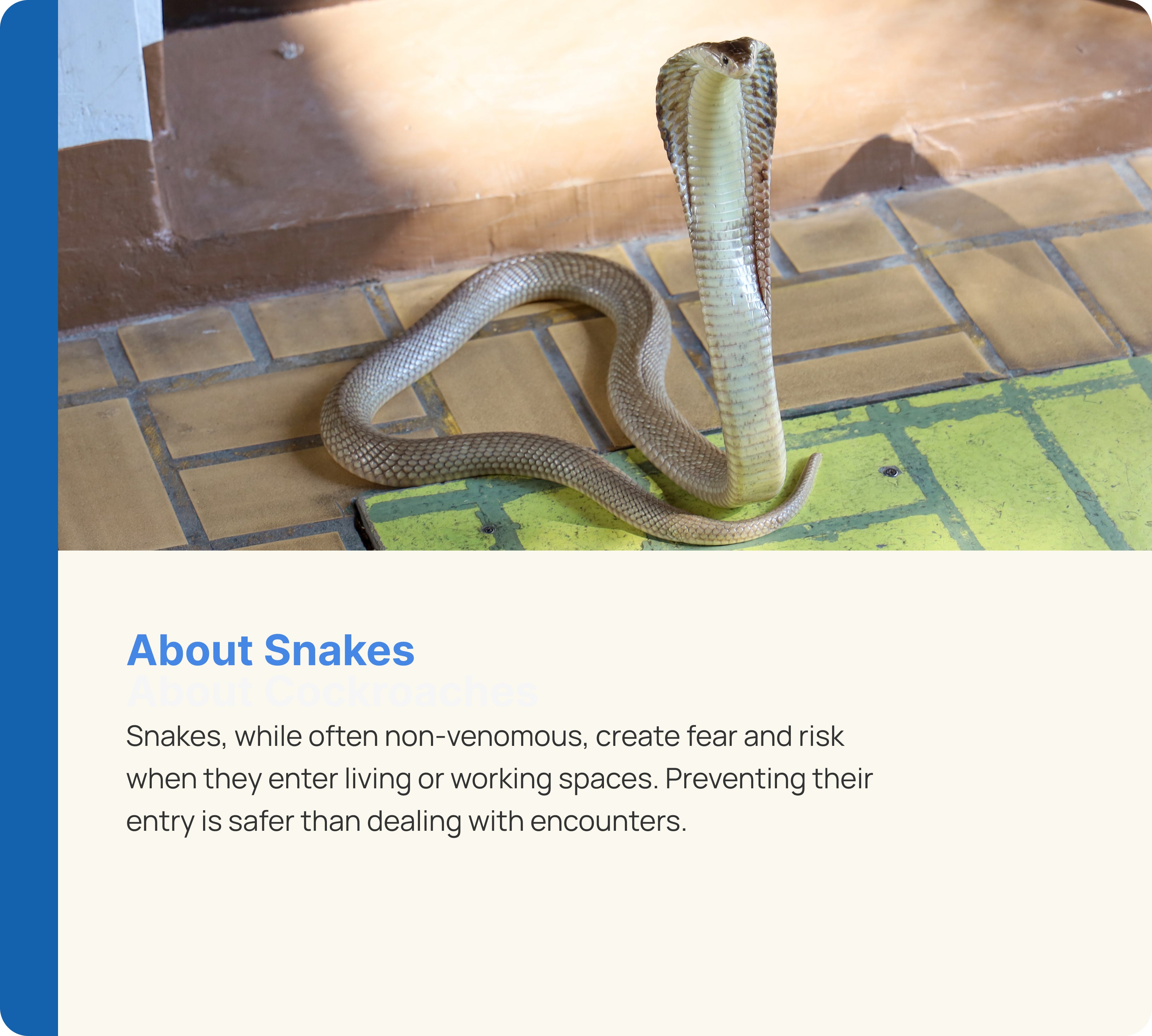Snake Control